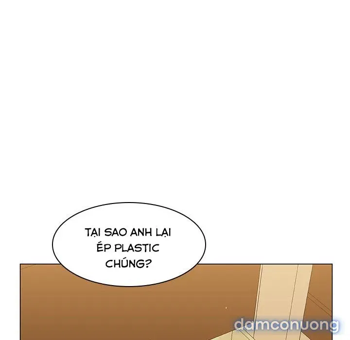 Hoa tàn 