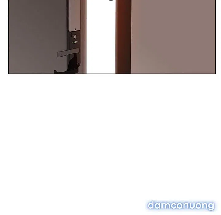 Hoa tàn 