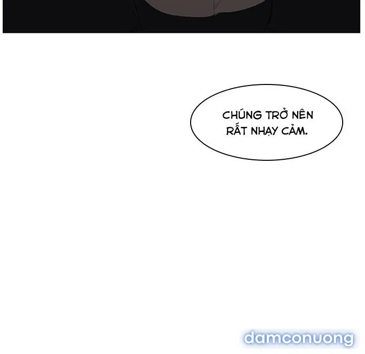 Hoa tàn 