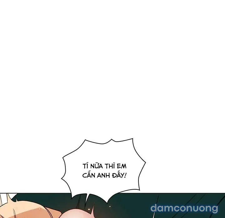 Hoa tàn 