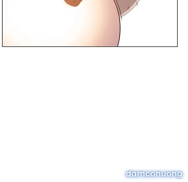 Hoa tàn 