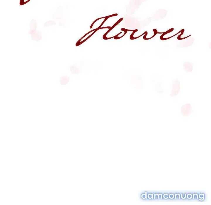 Hoa tàn 