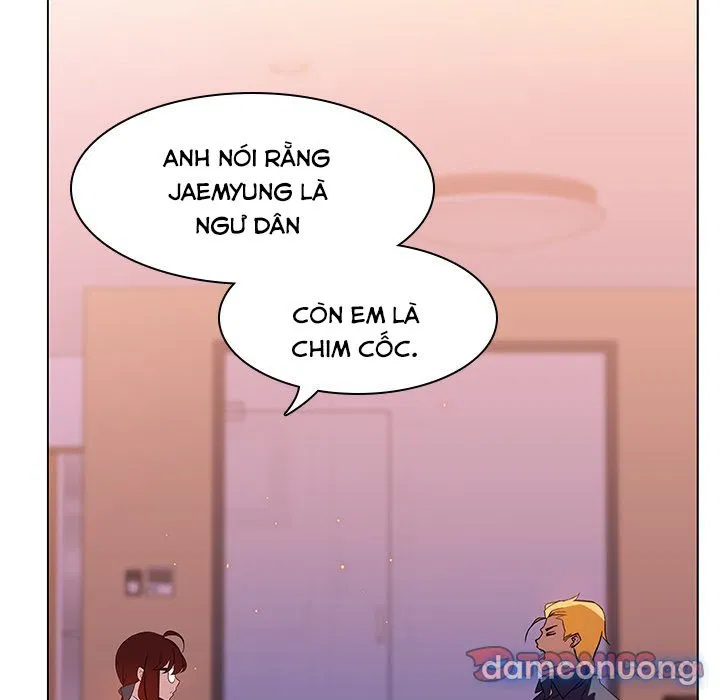Hoa tàn 