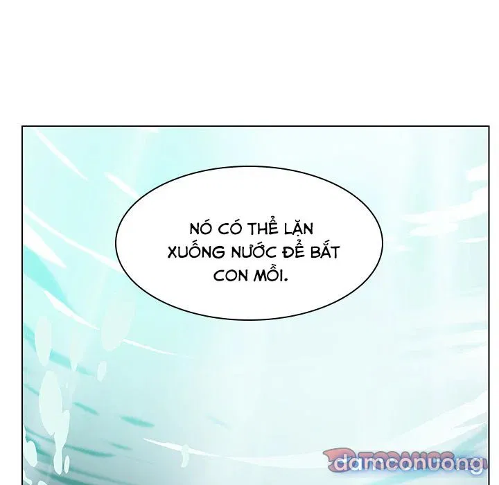 Hoa tàn 