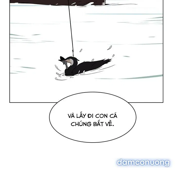 Hoa tàn 