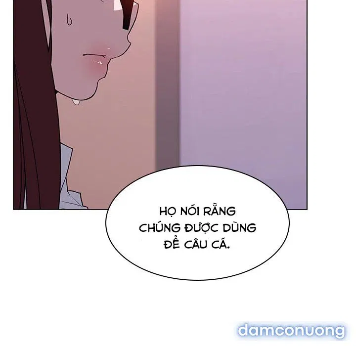 Hoa tàn 