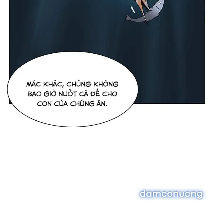 Hoa tàn 
