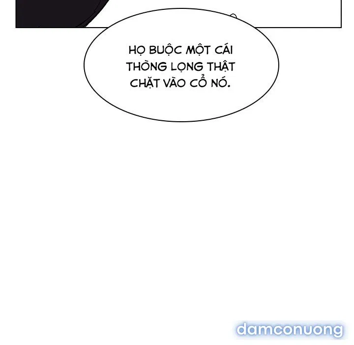Hoa tàn 