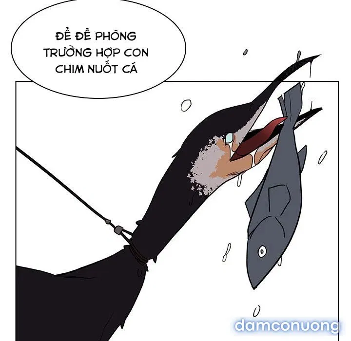 Hoa tàn 