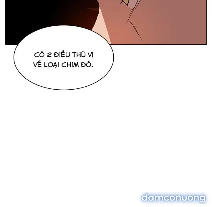 Hoa tàn 