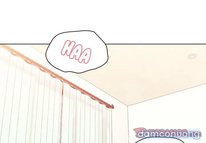 Hoa tàn 