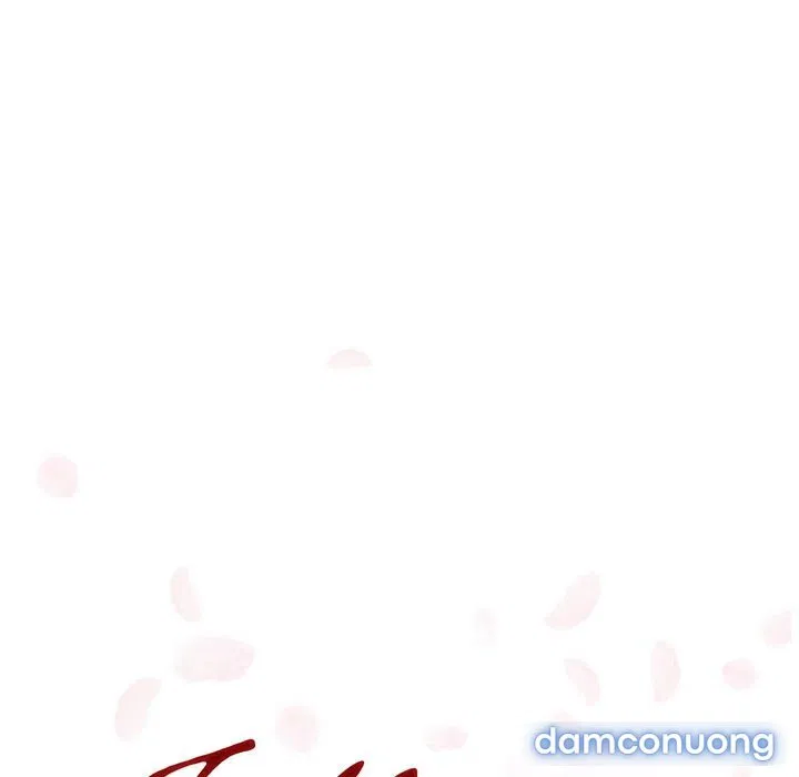Hoa tàn 