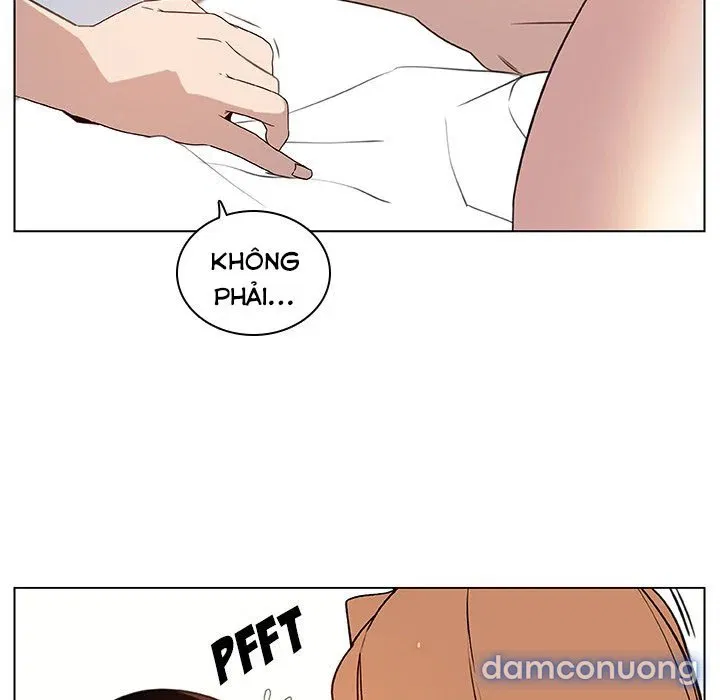 Hoa tàn 