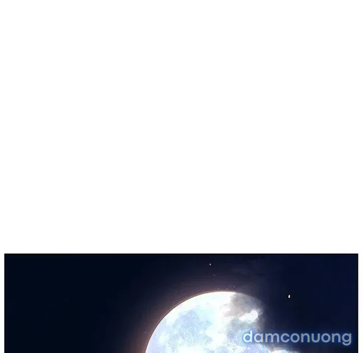 Hoa tàn 
