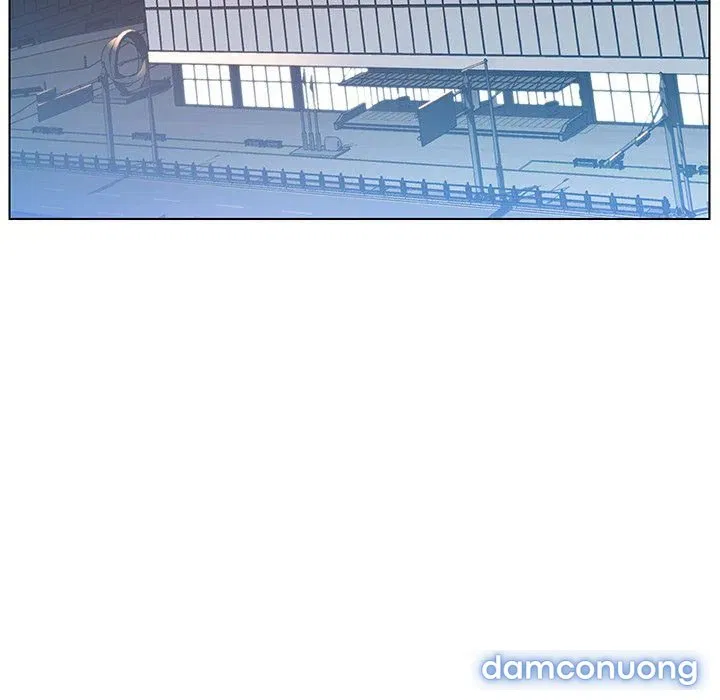 Hoa tàn 