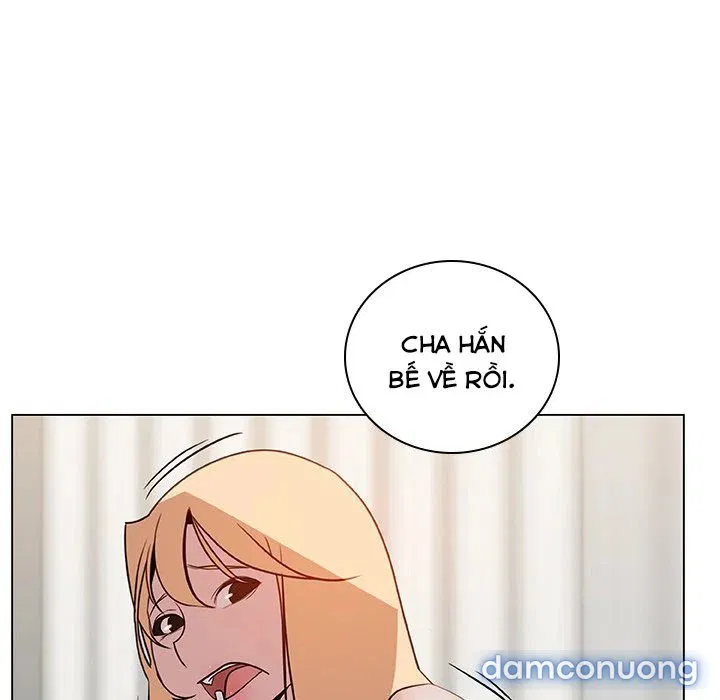 Hoa tàn 