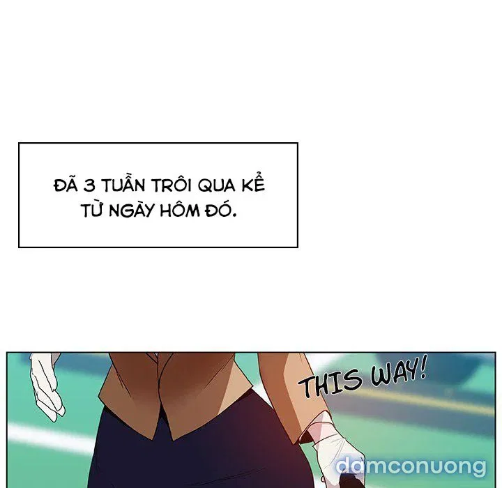 Hoa tàn 