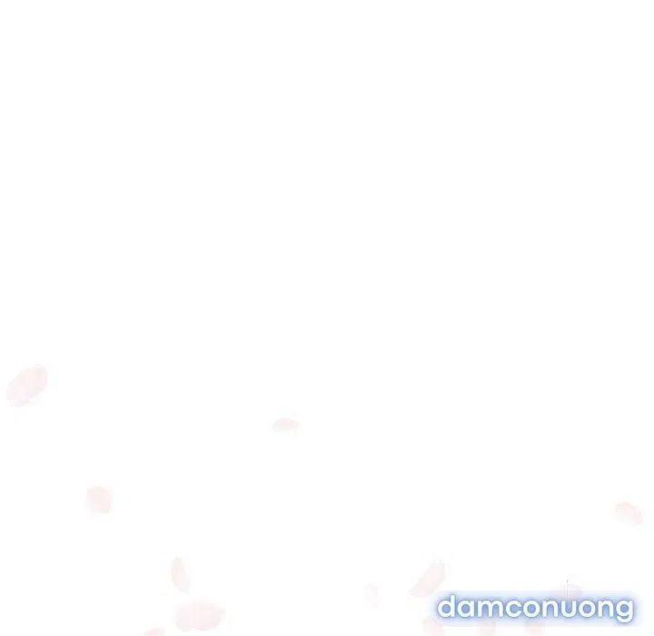 Hoa tàn 