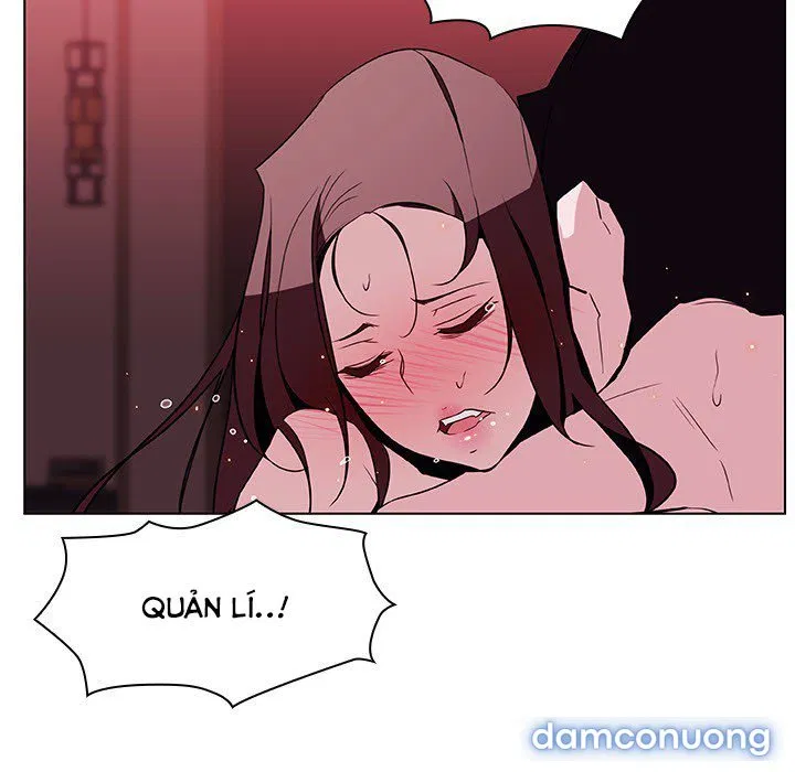 Hoa tàn 