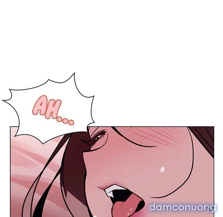 Hoa tàn 
