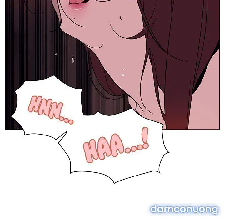 Hoa tàn 