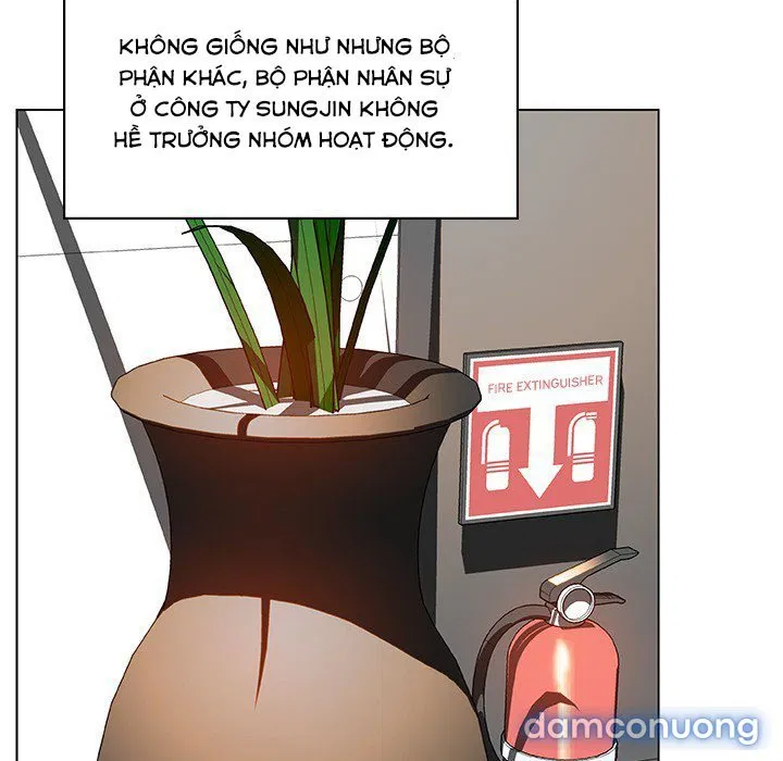 Hoa tàn 
