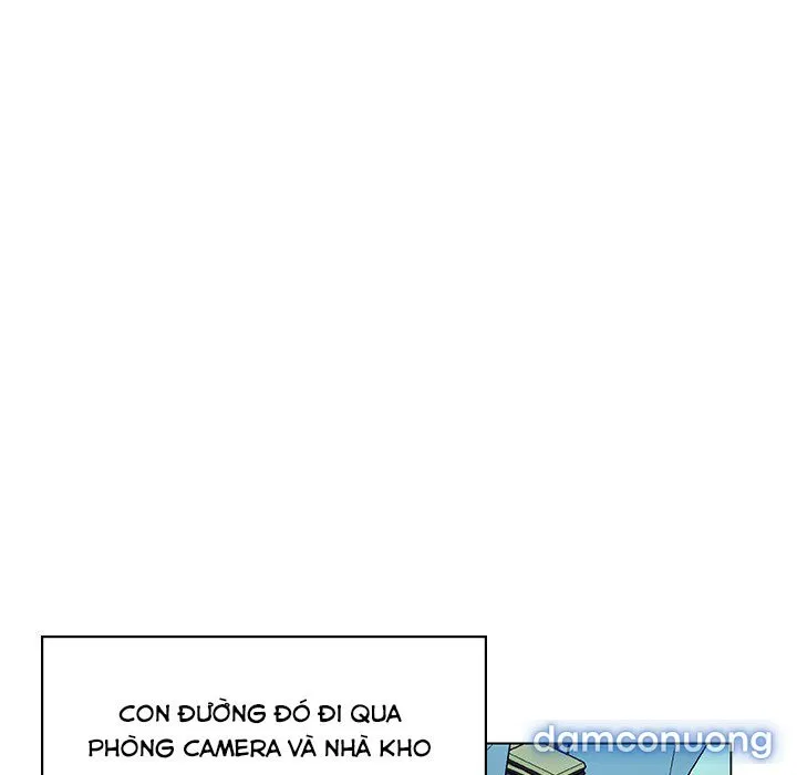 Hoa tàn 