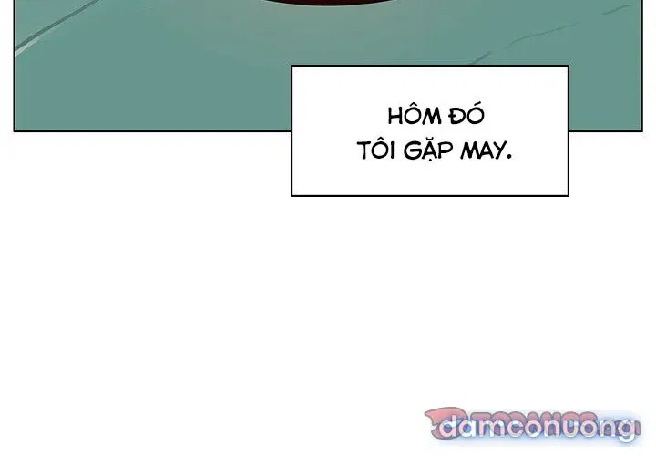 Hoa tàn 