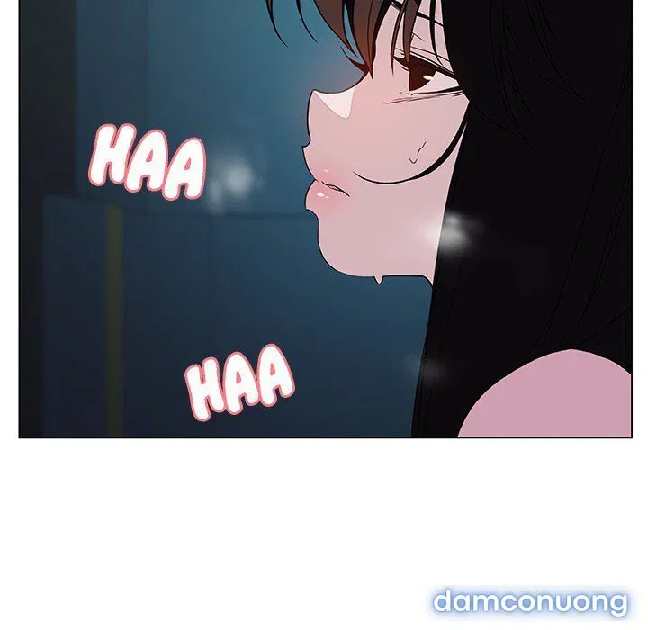 Hoa tàn 