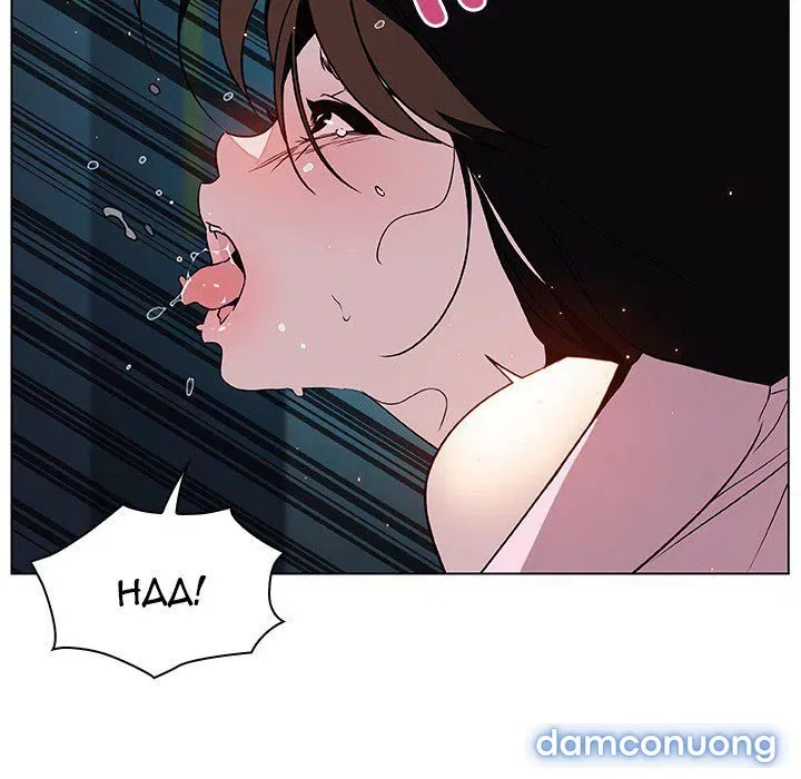 Hoa tàn 