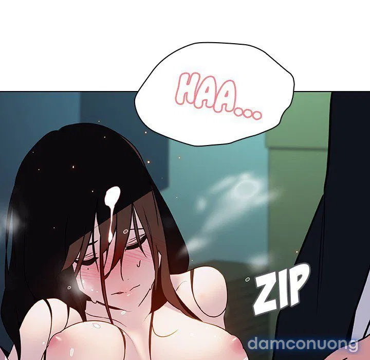 Hoa tàn 