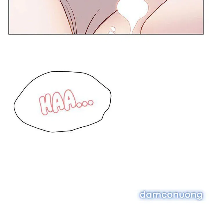 Hoa tàn 