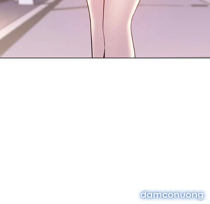 Hoa tàn 