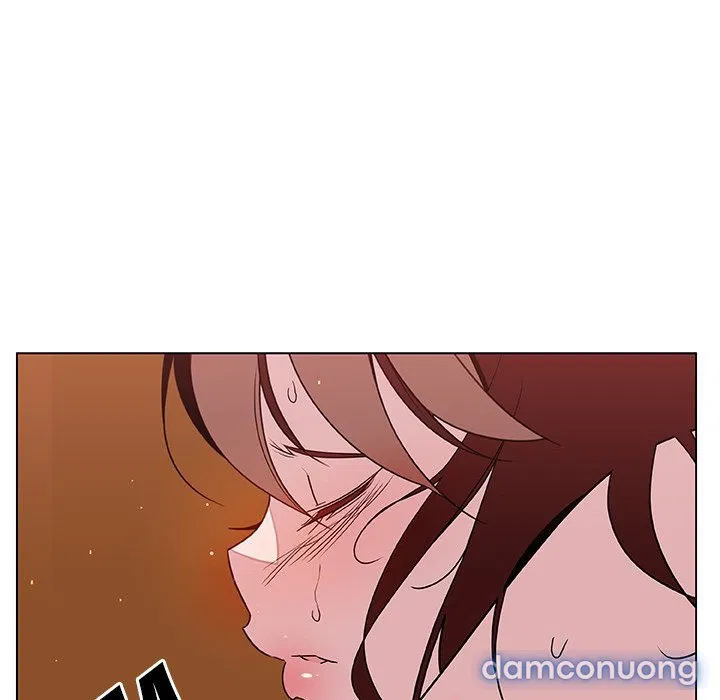 Hoa tàn 