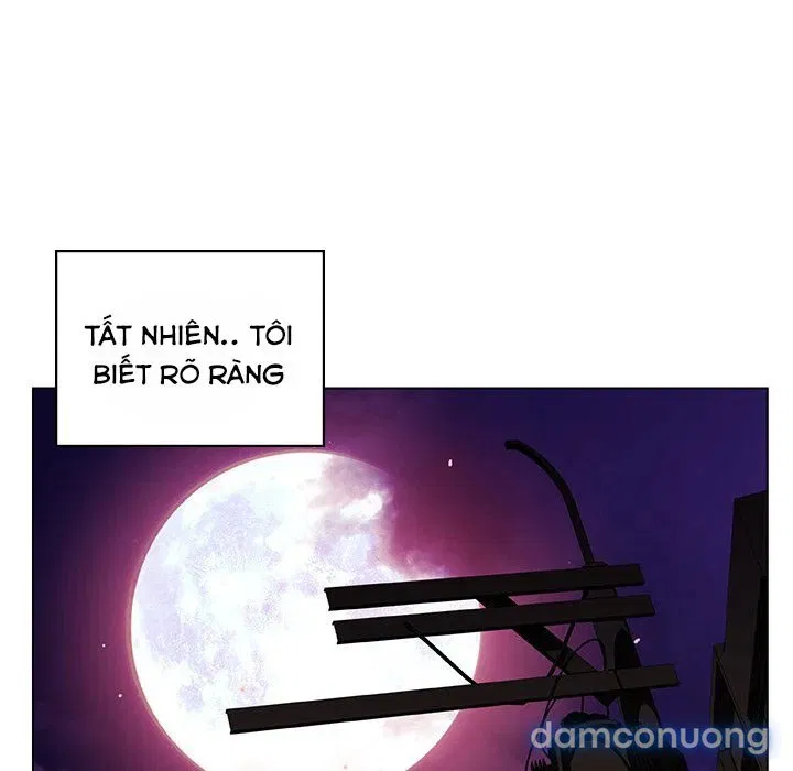 Hoa tàn 