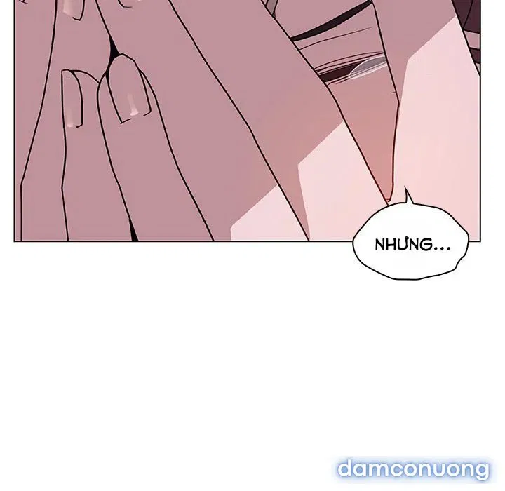 Hoa tàn 