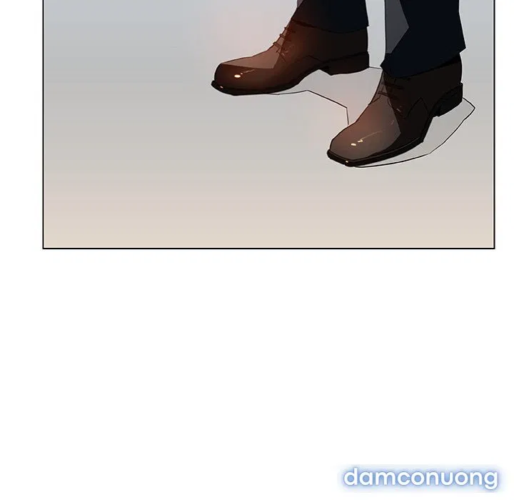 Hoa tàn 