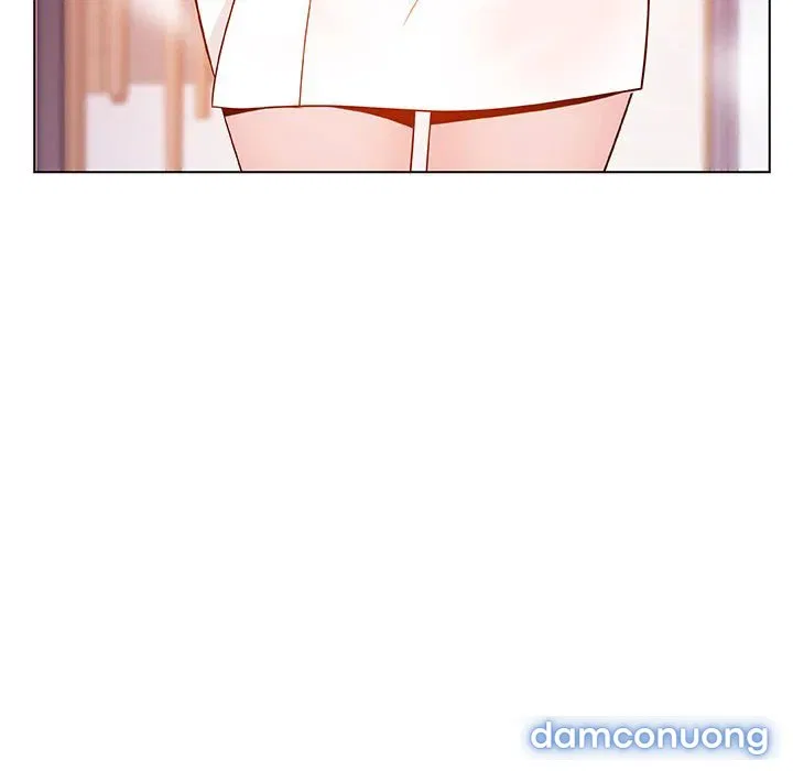 Hoa tàn 
