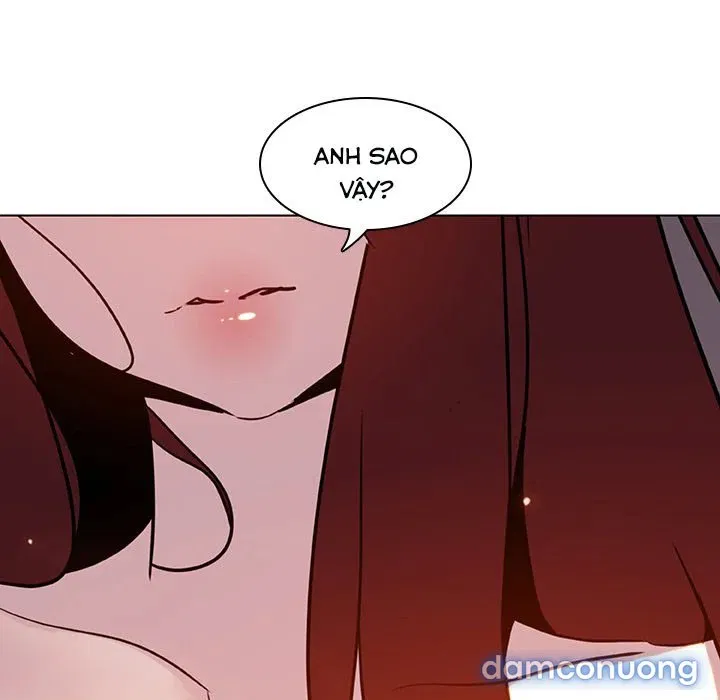 Hoa tàn 