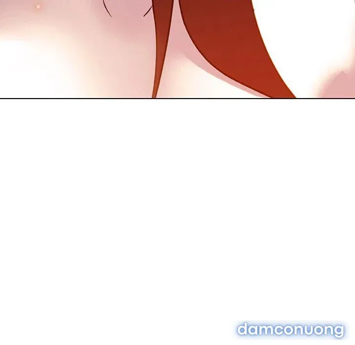 Hoa tàn 