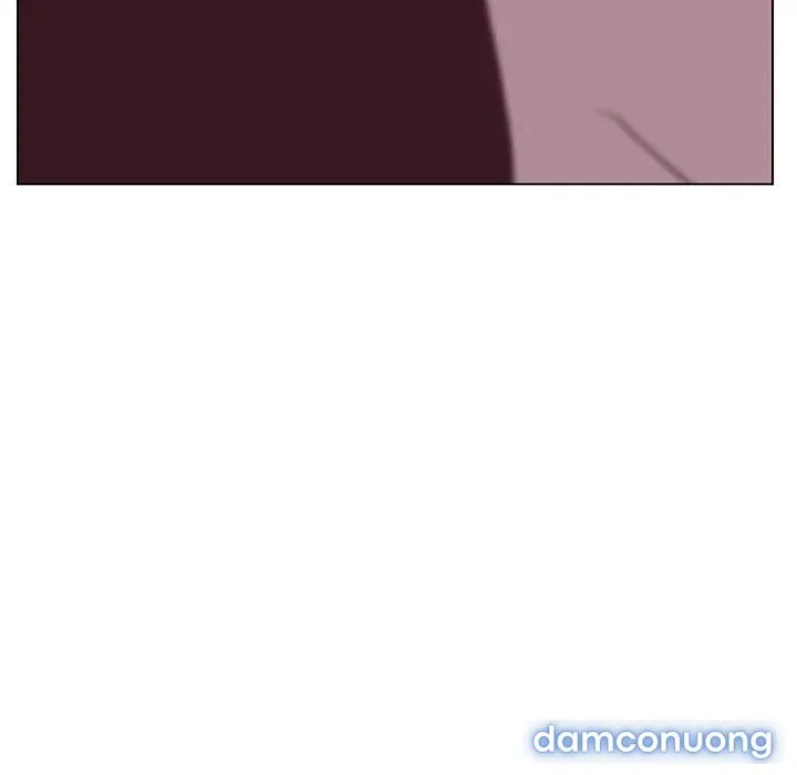 Hoa tàn 