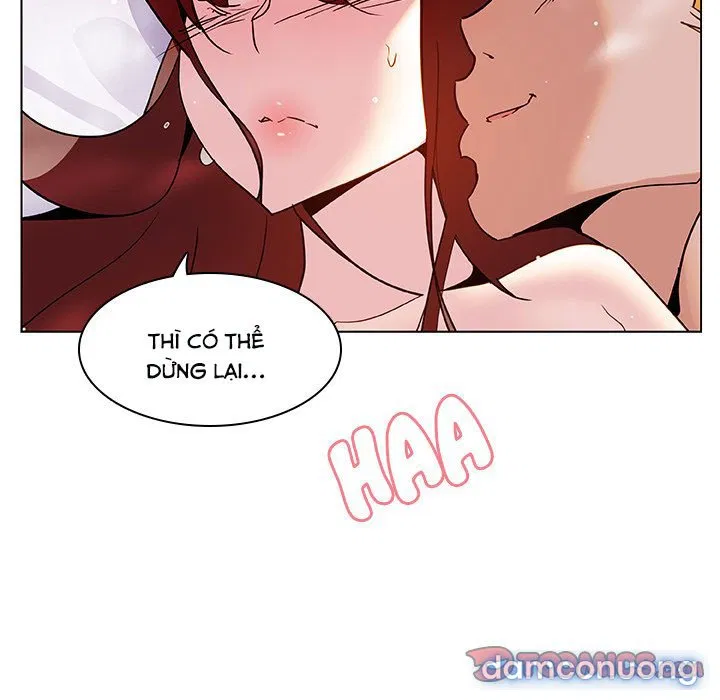 Hoa tàn 