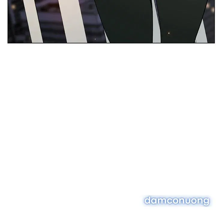 Hoa tàn 