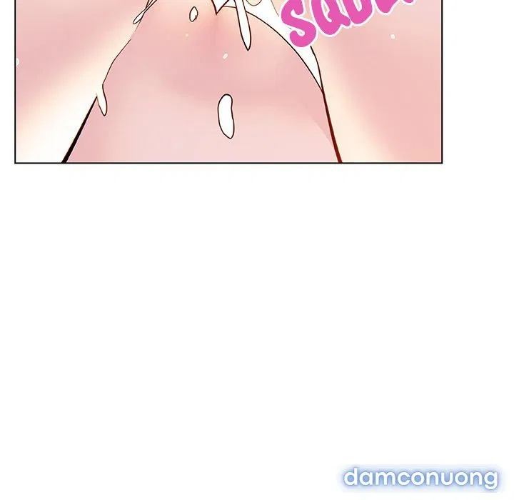 Hoa tàn 