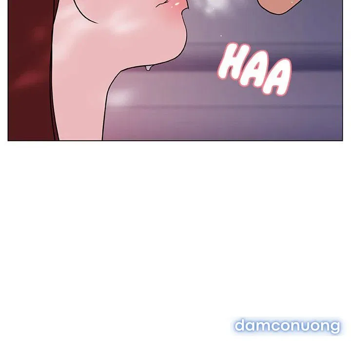 Hoa tàn 