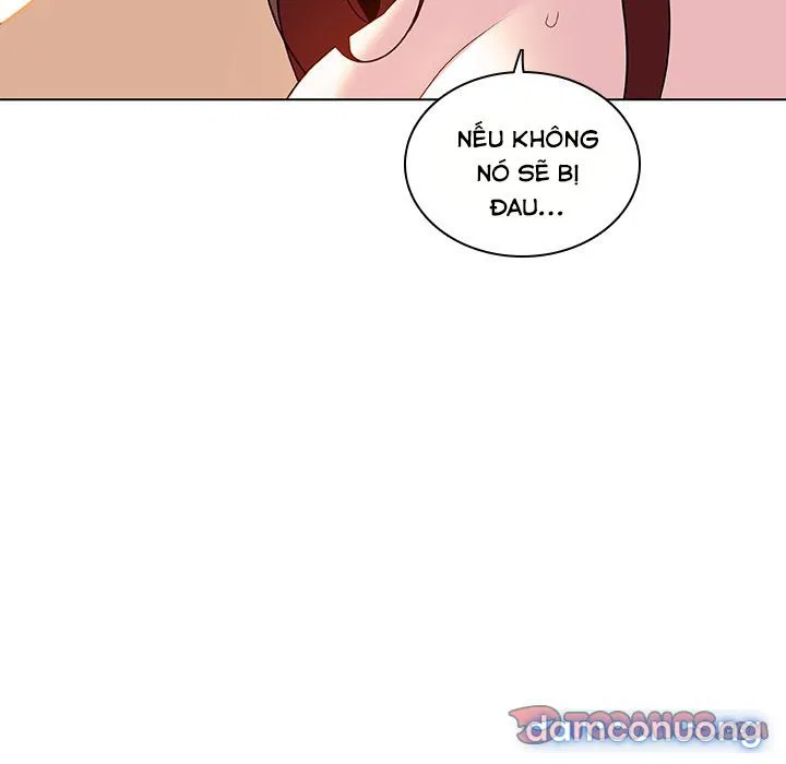Hoa tàn 