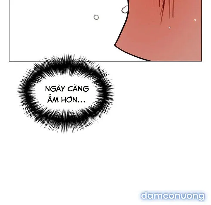 Hoa tàn 