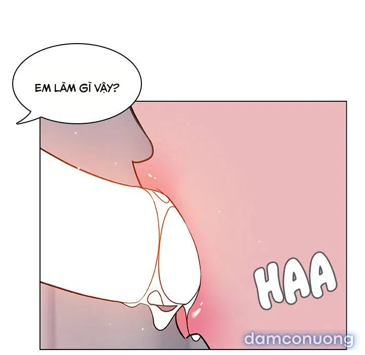 Hoa tàn 