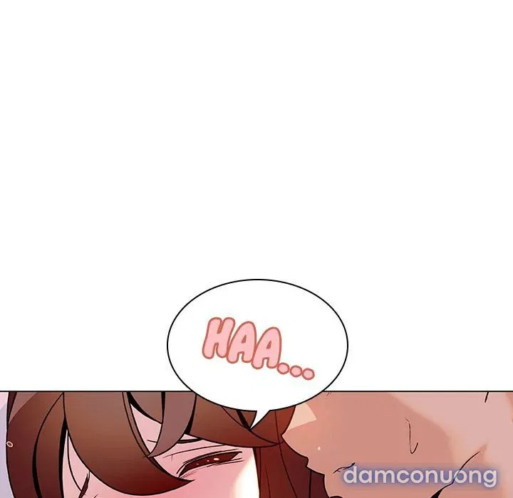 Hoa tàn 