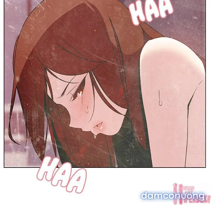 Hoa tàn 